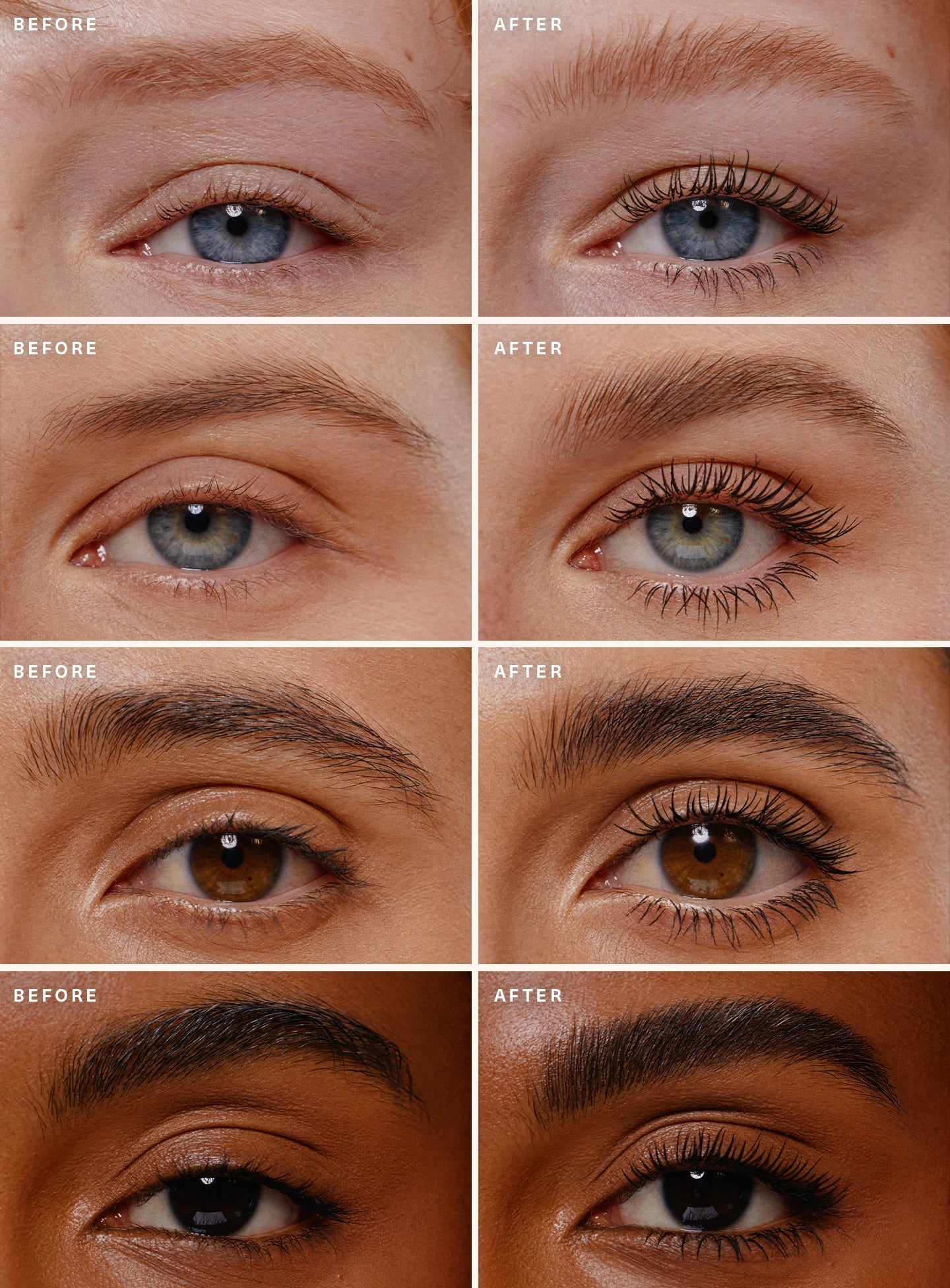 Lash & Brow Essentials Set